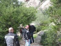 Bild 198